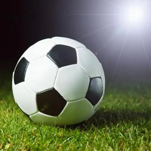 休闲观众使用场景